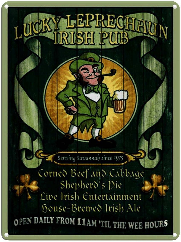 Blechschild 40x30 cm Bier Irish Pub open daily from 11am