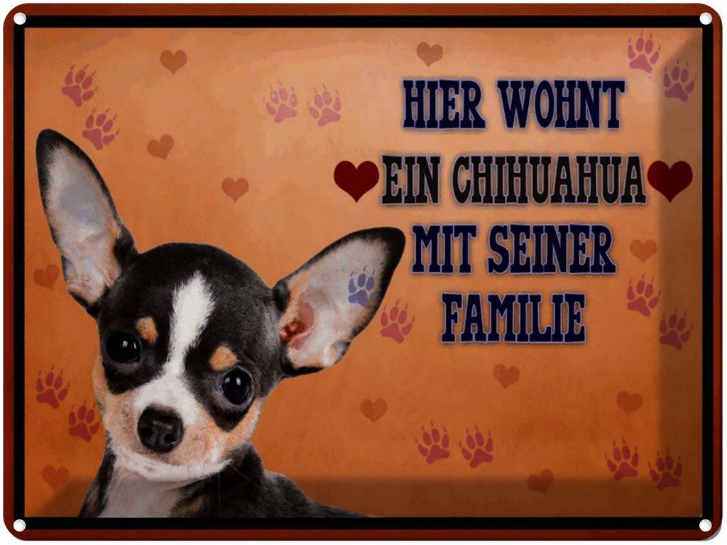 [LA-1791429] Blechschild 30x40 cm Hund hier wohnt ein Chihuahua