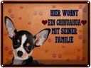 Blechschild 30x40 cm Hund hier wohnt ein Chihuahua