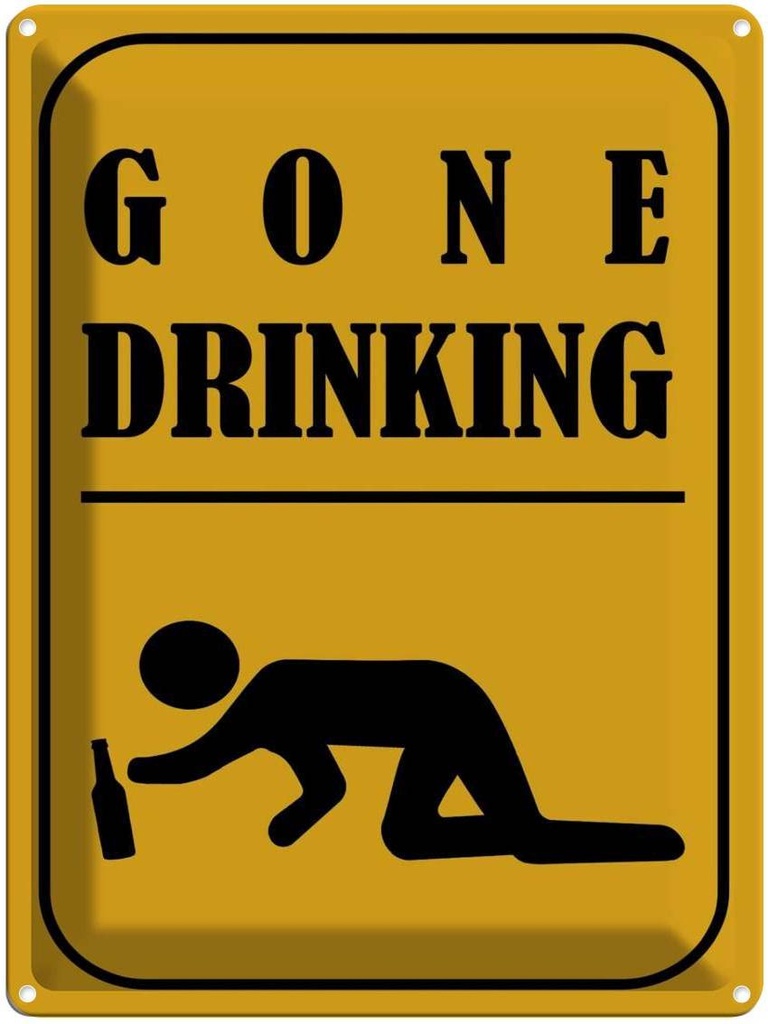 Blechschild 40x30 cm Alkohol gone drinking lustig