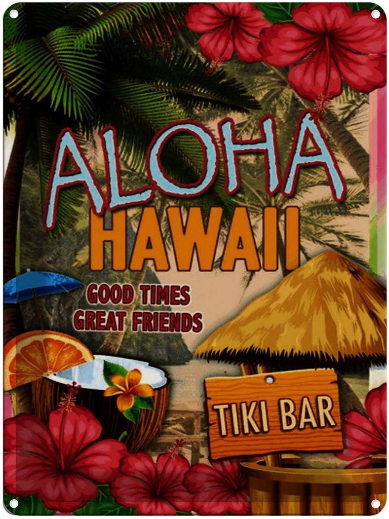 Blechschild 40x30 cm Hawaii Aloha Tiki Bar good times great