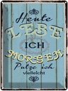 Blechschild 40x30 cm heute lebe ich morgen putze Spruch Zitat