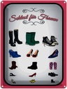 Blechschild 40x30 cm Schuhe Arten Sehtest für Frauen Spruch Zitat