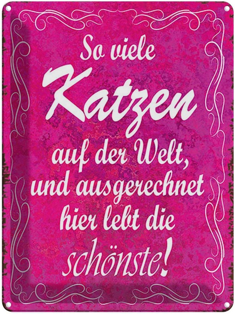 [LA-1791692] Blechschild 40x30 cm so viele Katzen auf der Welt Spruch Zitat