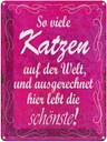Blechschild 40x30 cm so viele Katzen auf der Welt Spruch Zitat