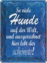 Blechschild 40x30 cm so vielen Hunde auf der Welt Spruch Zitat