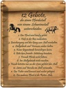Blechschild 40x30 cm Gebote Pferdestall Schweinestall Spruch Zitat