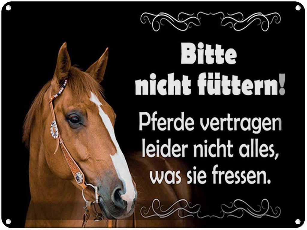 [LA-1791698] Blechschild 30x40 cm Bitte nicht füttern Pferde Spruch Zitat