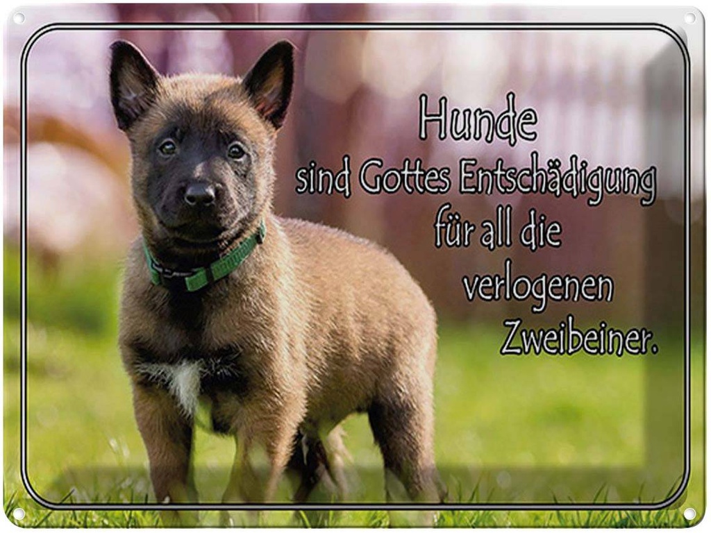 [LA-1791882] Blechschild 30x40 cm Hunde sind Gottes Entschädigung Hund