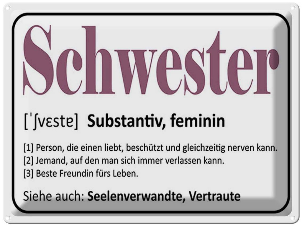 [LA-1791886] Blechschild 30x40 cm Schwester Person die einen liebt Spruch Zitat