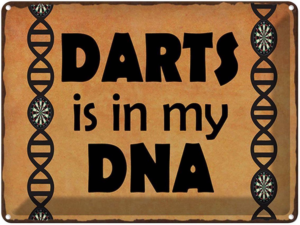 [LA-1791947] Blechschild 30x40 cm Darts is in my DANN
