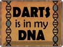 Blechschild 30x40 cm Darts is in my DANN