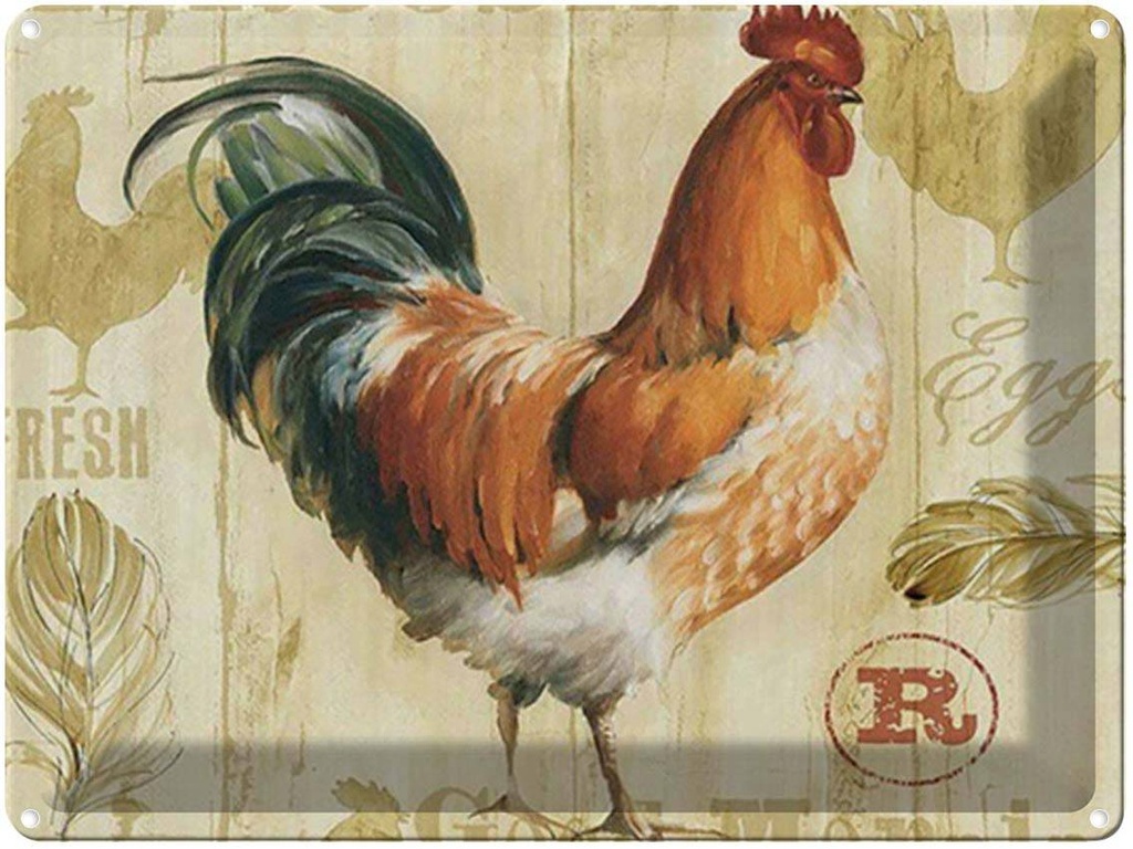[LA-1792007] Blechschild 30x40 cm Huhn Hühner Eggs frische Eier Tier Haustier