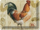 Blechschild 30x40 cm Huhn Hühner Eggs frische Eier Tier Haustier