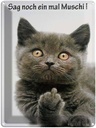 Blechschild 40x30 cm Katze sag noch ein mal Muschi