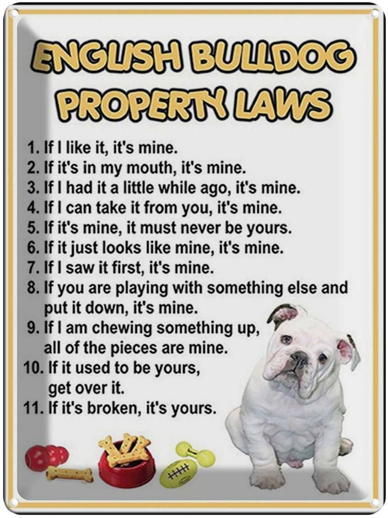 [LA-1792051] Blechschild 40x30 cm english bulldog property laws