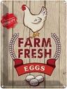 Blechschild 40x30 cm Huhn farm fresh eggs premium