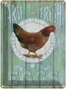 Blechschild 40x30 cm Huhn Farm fresh Eggs free range