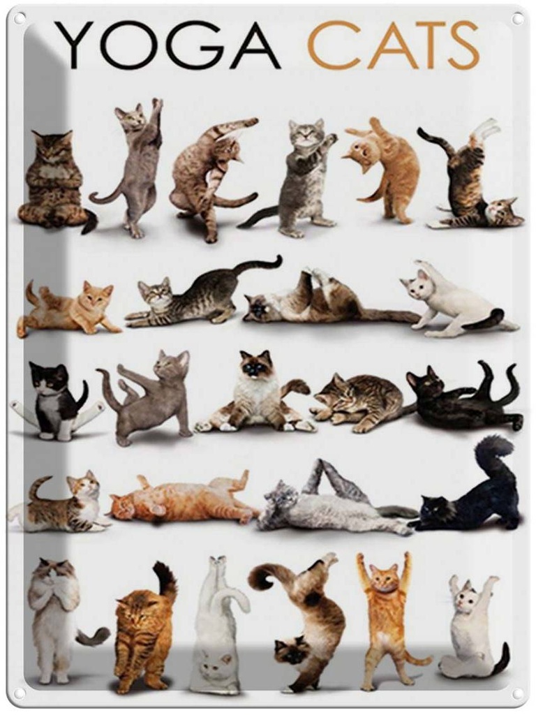 [LA-1792128] Blechschild 40x30 cm Tiere Yoga Cats Katzen