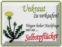 Blechschild 30x40 cm Unkraut verkaufen Selbstpflücker Spruch Zitat