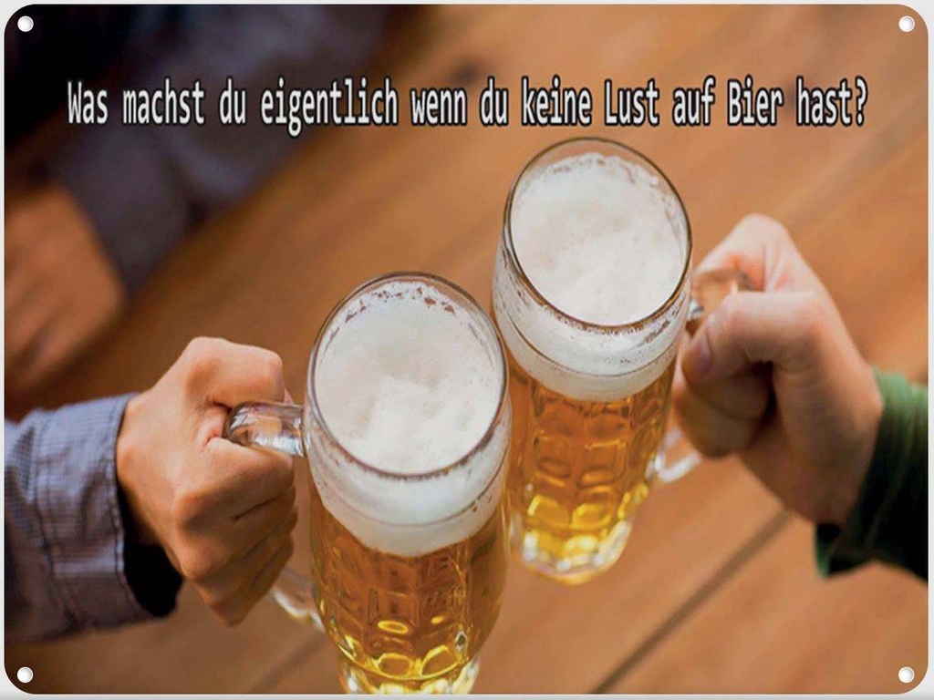 [LA-1792155] Blechschild 30x40 cm Bier wenn du keine Lust hast Spruch Zitat
