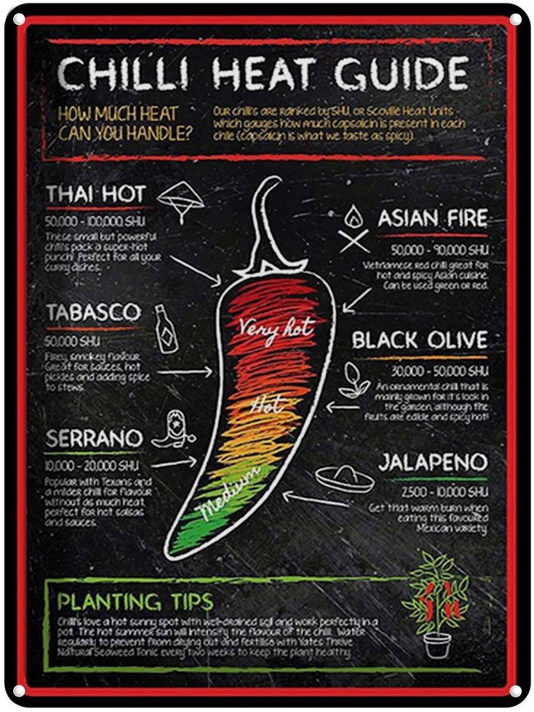 [LA-1792169] Blechschild 40x30 cm Essen Chilli heat guide asian fire thai