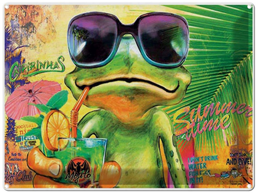 [LA-1792176] Blechschild 30x40 cm Frosch Cocktail Mojito Summer Strand