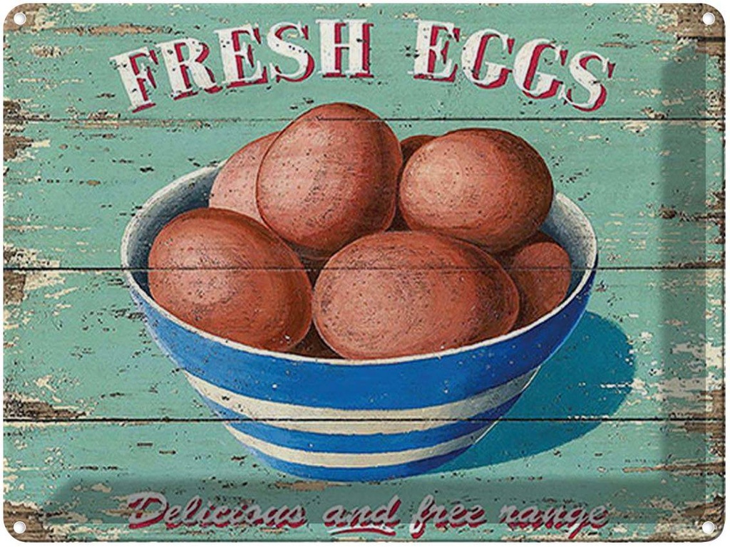 [LA-1792190] Blechschild 30x40 cm Retro fresh eggs Frische Eier