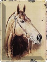 Blechschild 40x30 cm Retro Portrait Pferd Kopf Bildmotiv