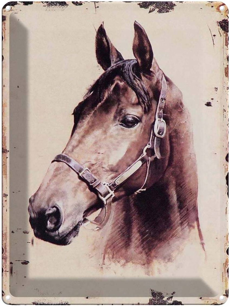 [LA-1792237] Blechschild 40x30 cm Retro Portrait Pferd Kopf Bildmotiv