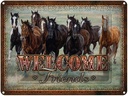 Blechschild 30x40 cm Pferde welcome friends