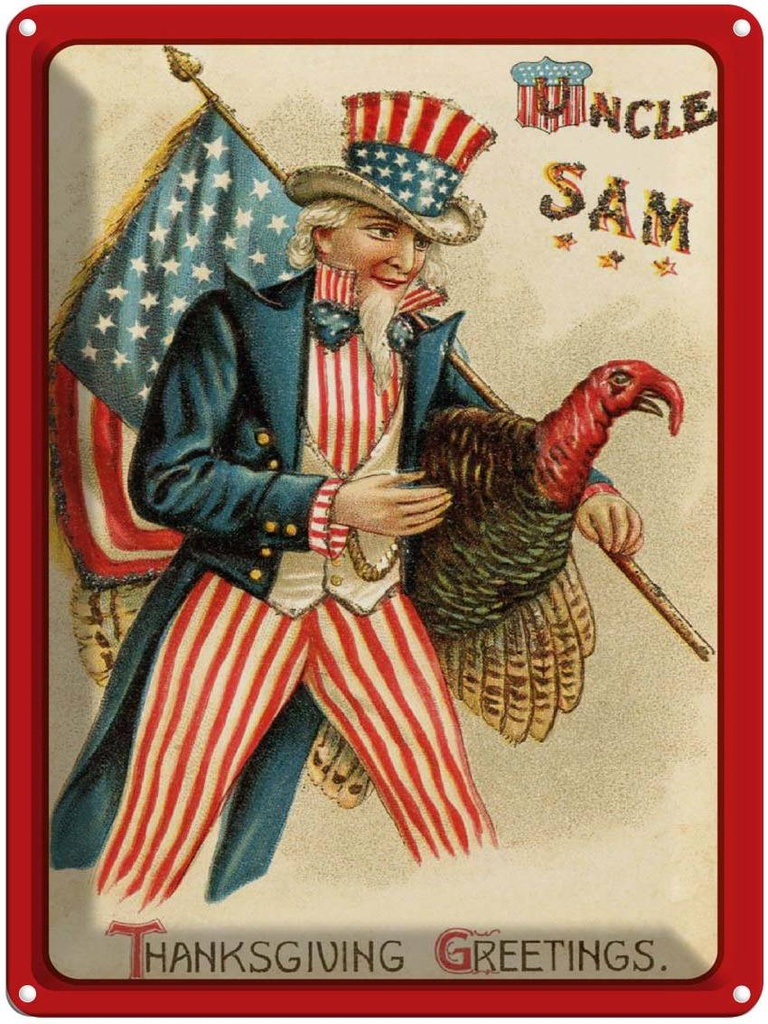 [LA-1792397] Blechschild 40x30 cm Amerika Truthahn Winter Bildmotiv Reisemotiv USA