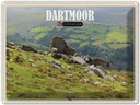 Blechschild 30x40 cm Dartmoor Hills UK England Bildmotiv Reisemotiv Abenteuer Reisen