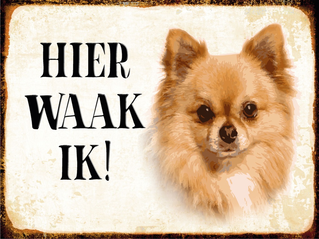 [LA-1812442] Blechschild 30x40 cm holländisch Hier Waak ik Chihuahua