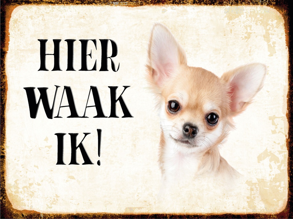 [LA-1812445] Blechschild 30x40 cm holländisch Hier Waak ik Chihuahua glatt