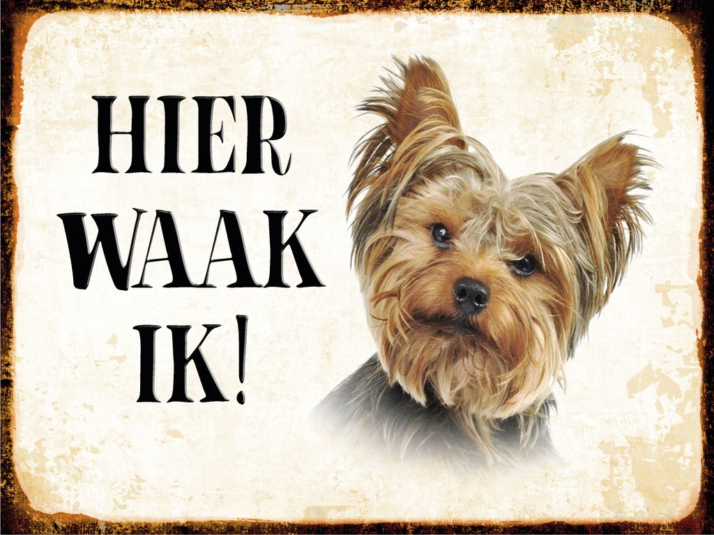 [LA-1812449] Blechschild 30x40 cm holländisch Hier Waak ik Yorkshire Terrier