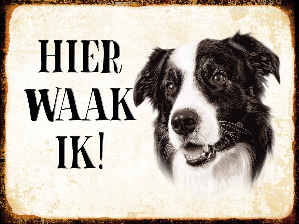 [LA-1812456] Blechschild 30x40 cm holländisch Hier Waak ik Border Collie