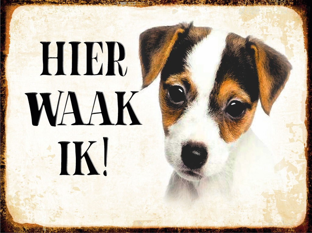 [LA-1812464] Blechschild 30x40 cm holländisch Hier Waak ik Jack Russell Terrier Puppy