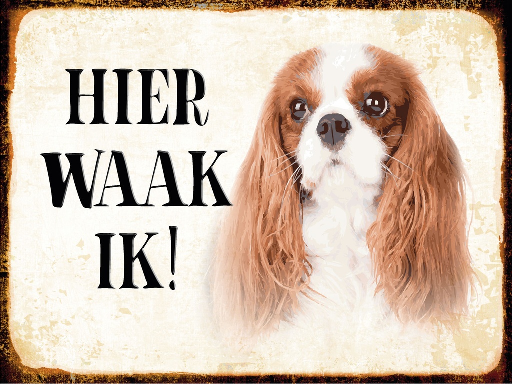 [LA-1812473] Blechschild 30x40 cm holländisch Hier Waak ik King Charles Spaniel