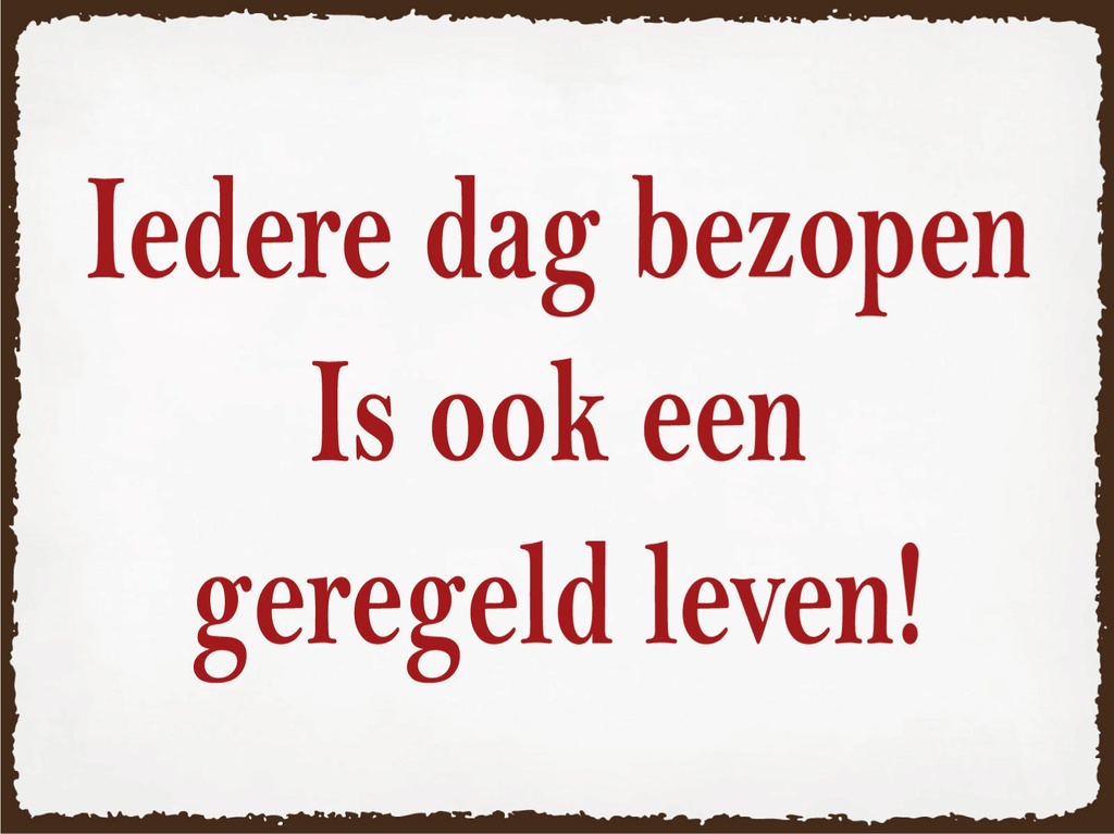 [LA-1812483] Blechschild 30x40 cm ledere dag bezopen is ook een geregeld leven