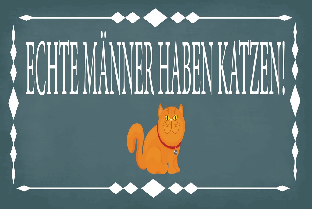 [LA-1812543] Blechschild 30x40 cm Echte Männer Katzen