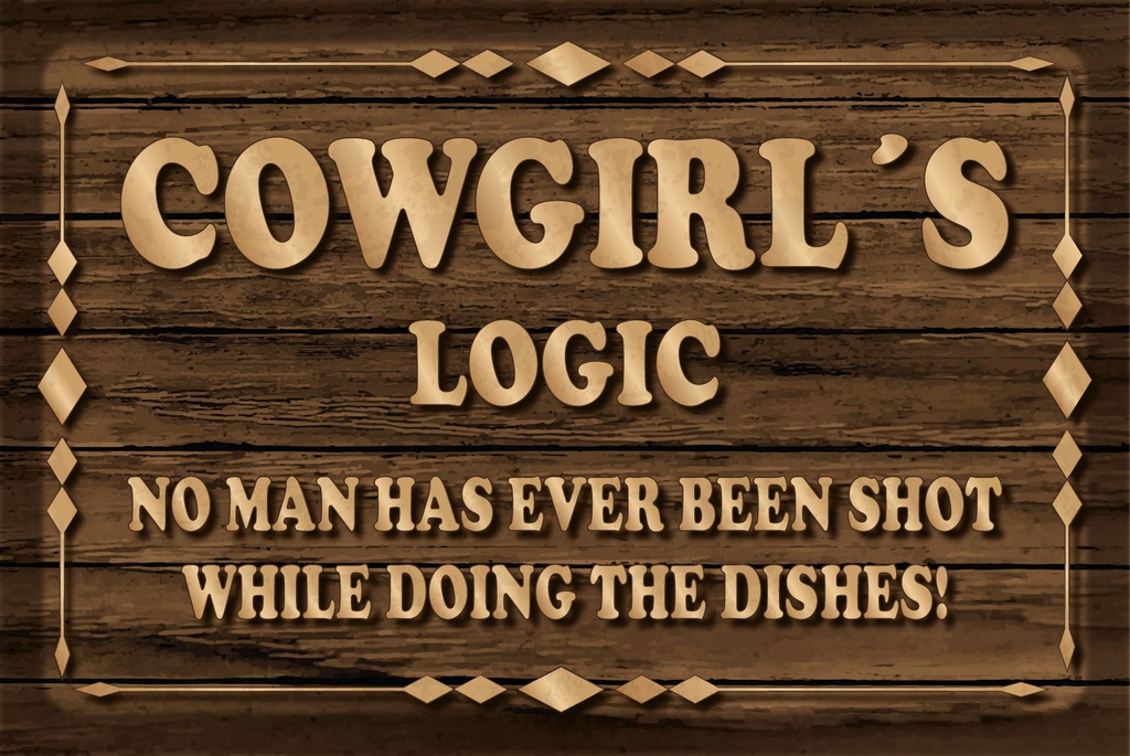 [LA-1812561] Blechschild 30x40 cm Cowgirls logic