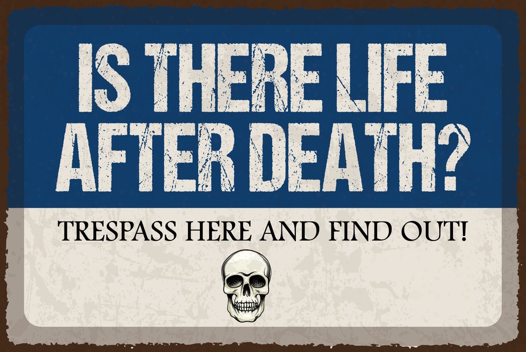 [LA-1812563] Blechschild 30x40 cm Life after death