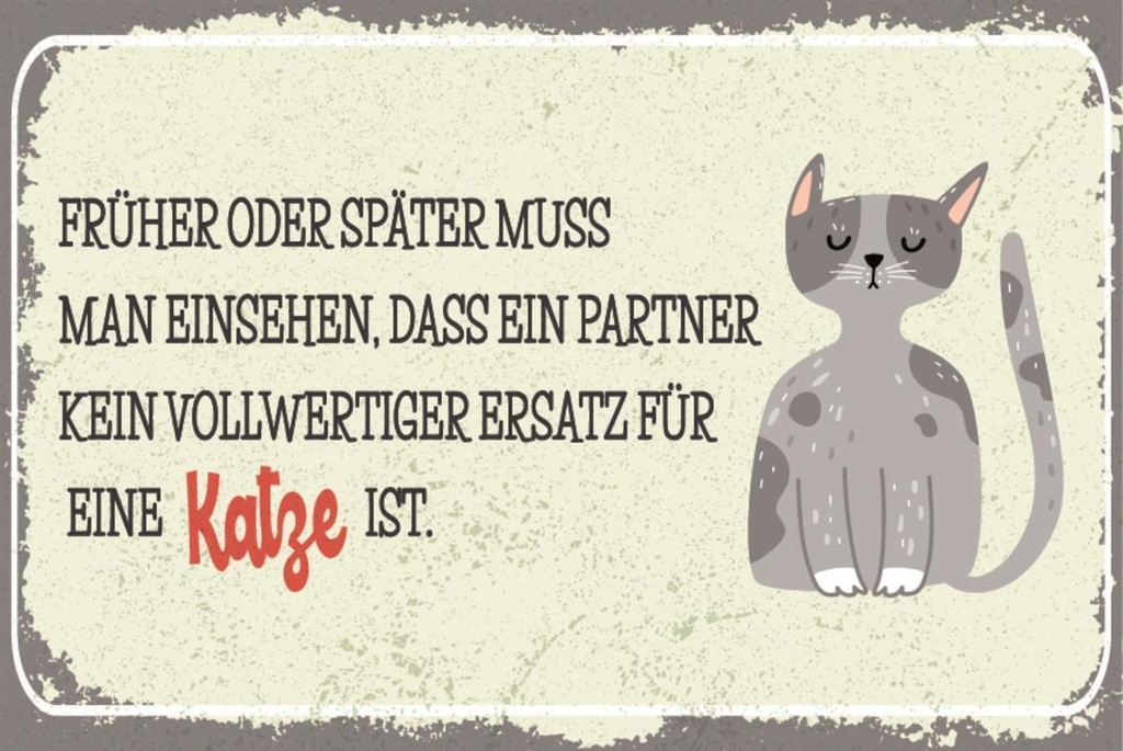 [LA-1812617] Blechschild 30x40 cm Kein ersatz für Katze