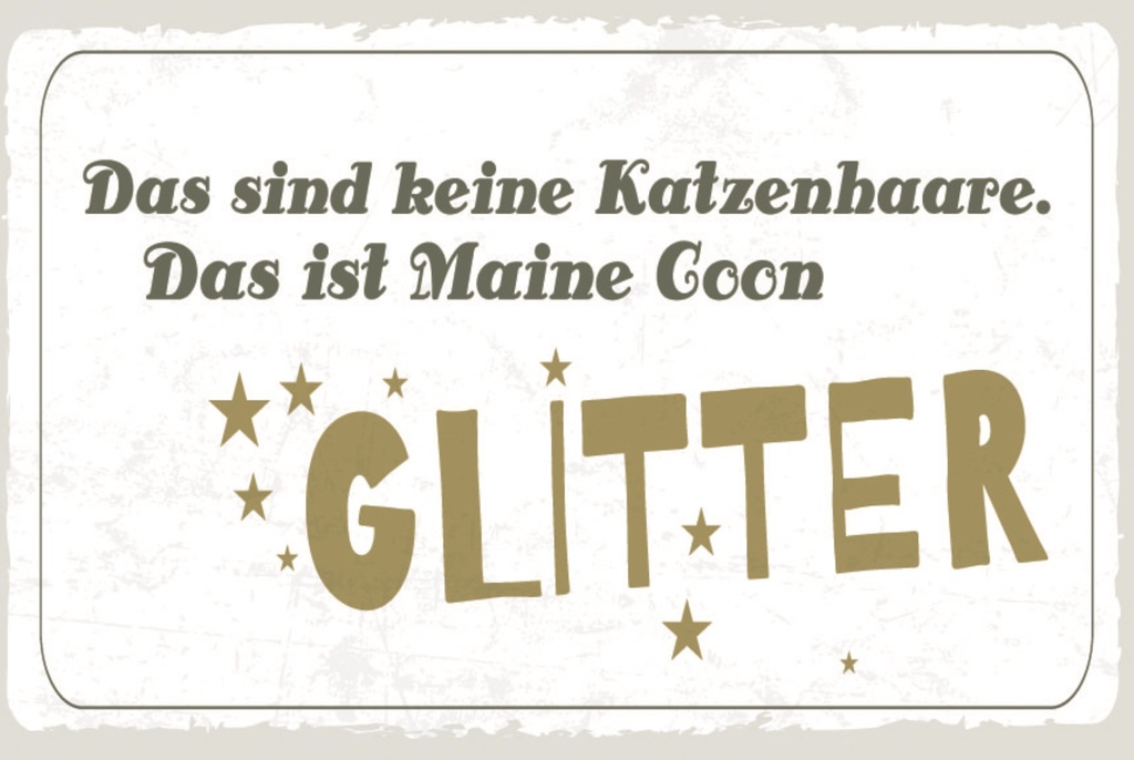 [LA-1812619] Blechschild 30x40 cm Maine Coon Glitter