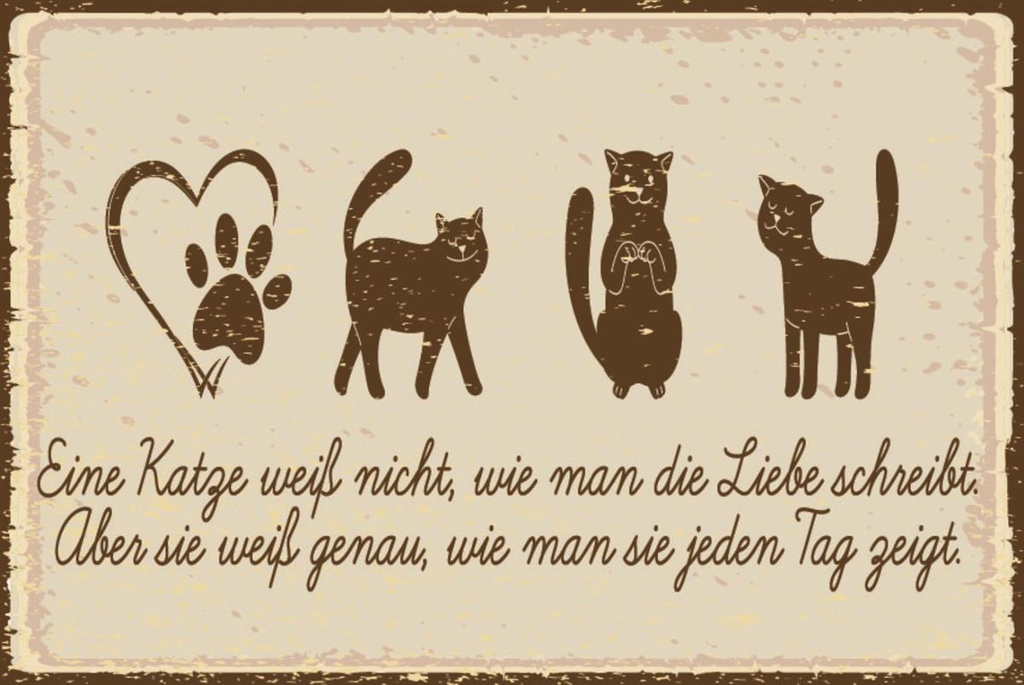 [LA-1812655] Blechschild 30x40 cm Katze liebe schreibt