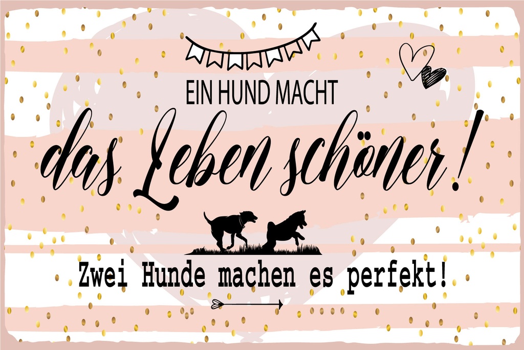 [LA-1812705] Blechschild 30x40 cm Ein Hund macht das Leben an