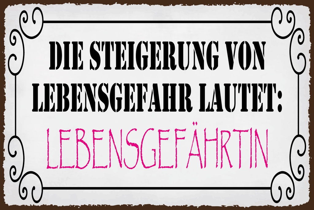 [LA-1812741] Blechschild 30x40 cm Steigerung von Lebensgefahr ist Lebensgefährte
