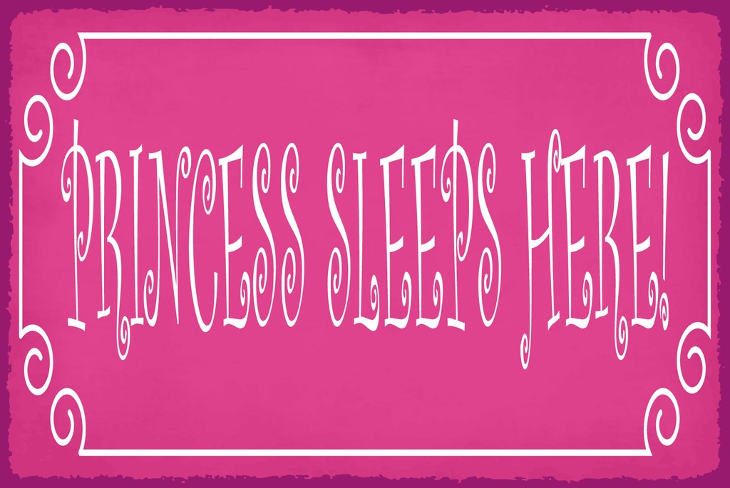 [LA-1812759] Blechschild 30x40 cm Princess sleeps here rosa