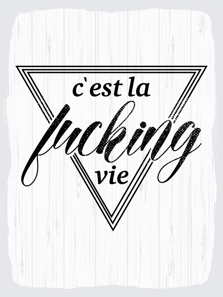 [LA-1813003] Blechschild 40x30 cm cést la fucking vie weißes